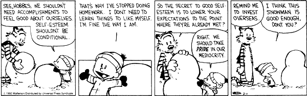 calvin-expectations.jpg